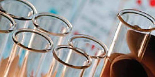 DPP_B-5_Kalrez_TestTubes_630x315.jpg